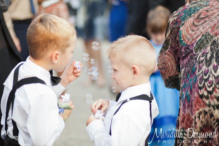 Ashford Estate Ring Bearers