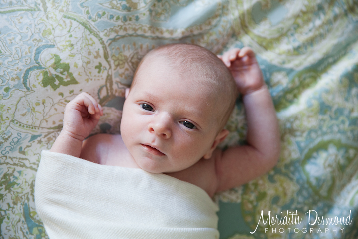 UWS newborn photographer