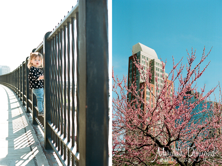 NYC 4-16-16-10 w logo