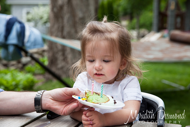 Allendale Birthday Photographer-26 w logo