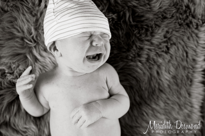 Madison Family Photographer-09 w logo