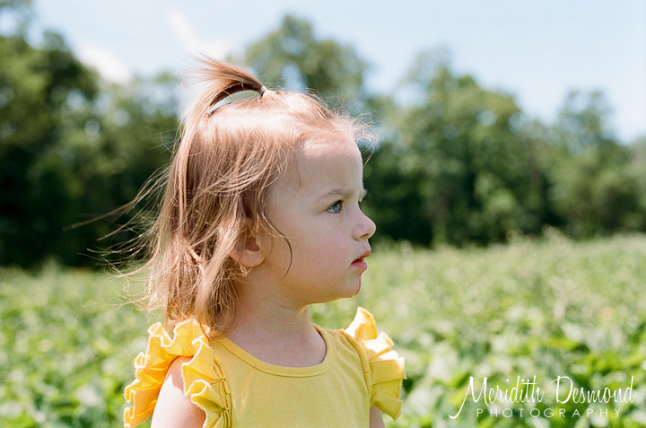 Alstede Farm Strawberry Picking-15 w logo