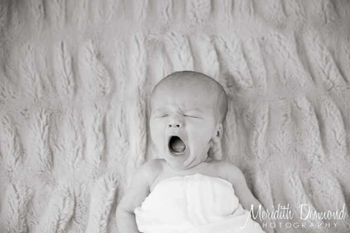 Ho-Ho-Kus Family Photographer-26 w logo