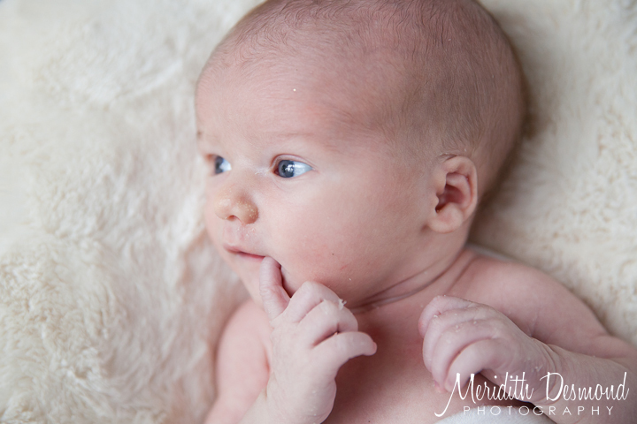 Ho-Ho-Kus Family Photographer-31 w logo