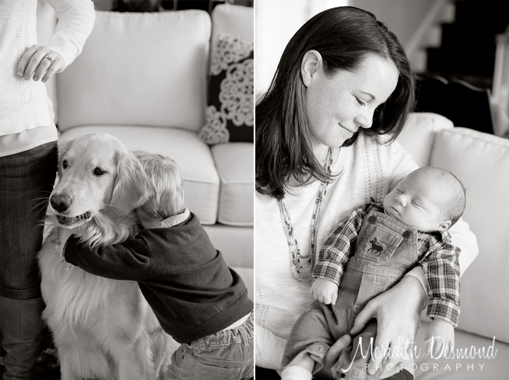 Cammisa 11-14-15-36 w logo