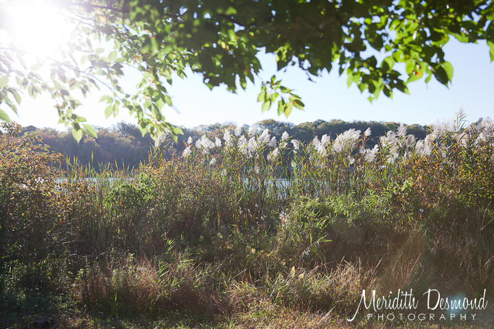Allendale Family Photo Session-16 w logo