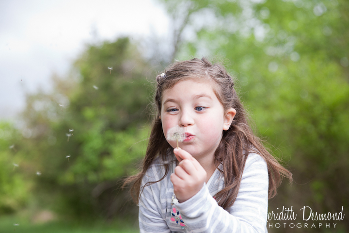 Hillsborough Family Photographer-23w logo