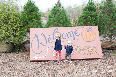 Manza Family Farm Pumpkin Picking-01 w logo