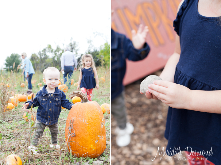 Manza Family Farm Pumpkin Picking-04 w logo
