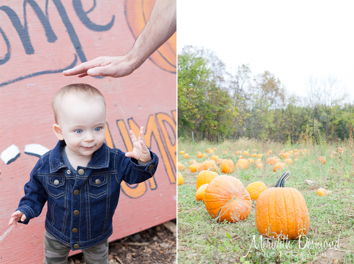 Manza Family Farm Pumpkin Picking-10 w logo