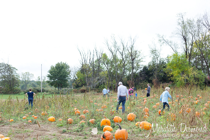 Manza Family Farm Pumpkin Picking-13 w logo