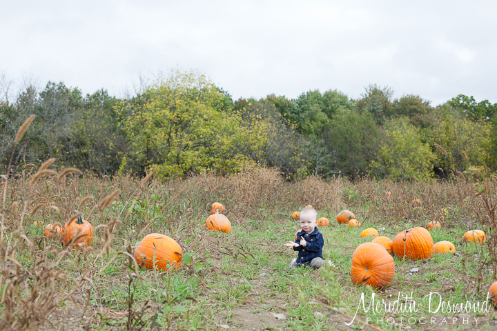 Manza Family Farm Pumpkin Picking-15 w logo