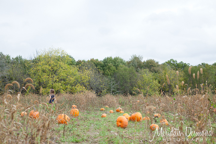 Manza Family Farm Pumpkin Picking-22 w logo