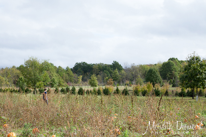 Manza Family Farm Pumpkin Picking-24 w logo