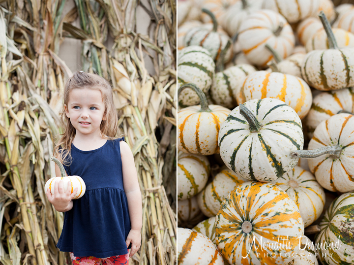 Manza Family Farm Pumpkin Picking-31 w logo