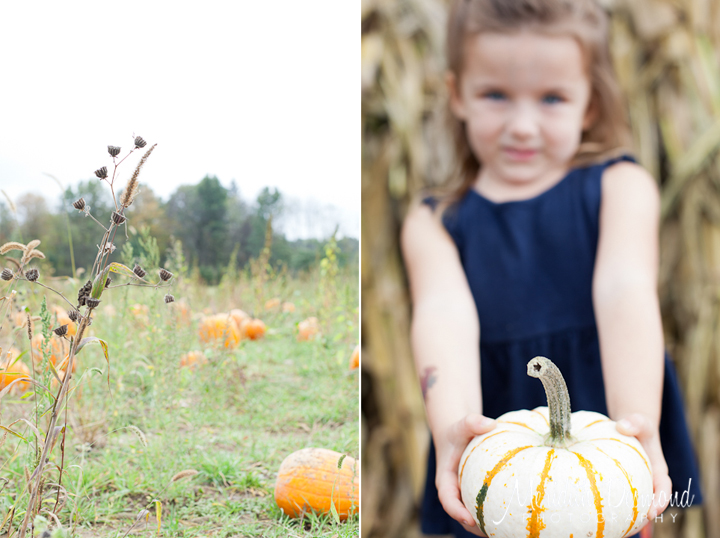 Manza Family Farm Pumpkin Picking-33 w logo