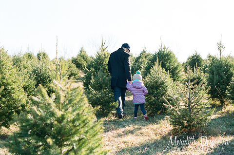 Christmas Tree Hunt 12-4-16-01 w logo