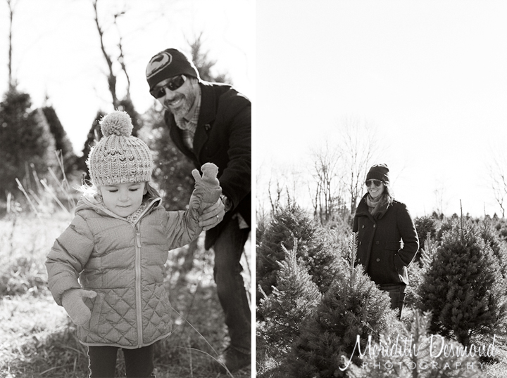 Christmas Tree Hunt 12-4-16-02 w logo