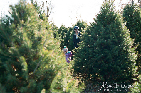 Christmas Tree Hunt 12-4-16-03 w logo