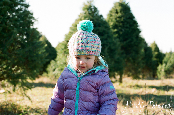 Christmas Tree Hunt 12-4-16-08 w logo