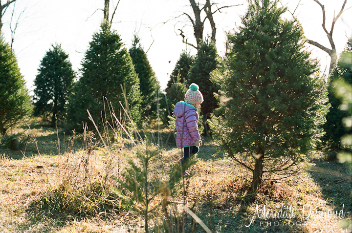 Christmas Tree Hunt 12-4-16-14 w logo