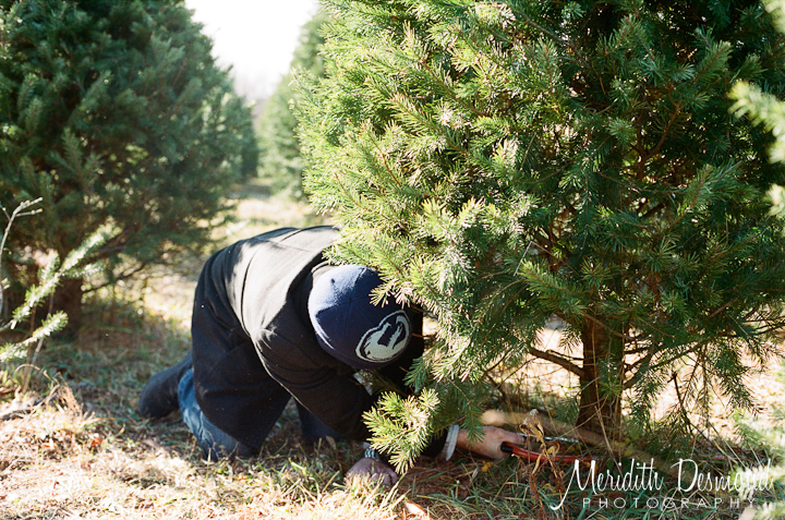Christmas Tree Hunt 12-4-16-15 w logo