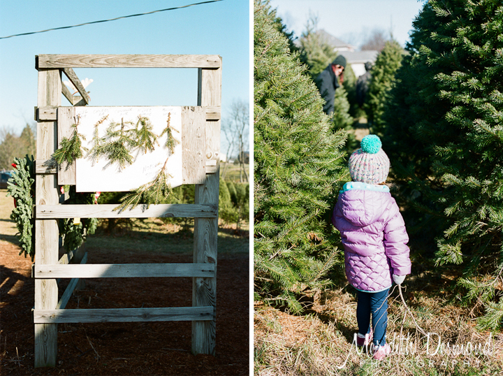 Christmas Tree Hunt 12-4-16-18 w logo