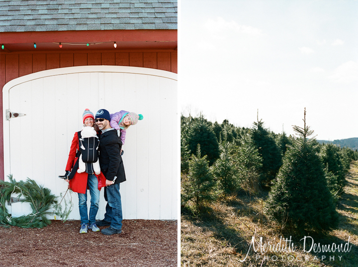 Christmas Tree Hunt 12-4-16-20 w logo