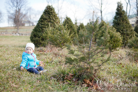 Christmas Tree Hunt 11-25-17--02 w logo