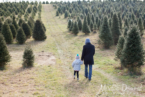 Christmas Tree Hunt 11-25-17--04 w logo