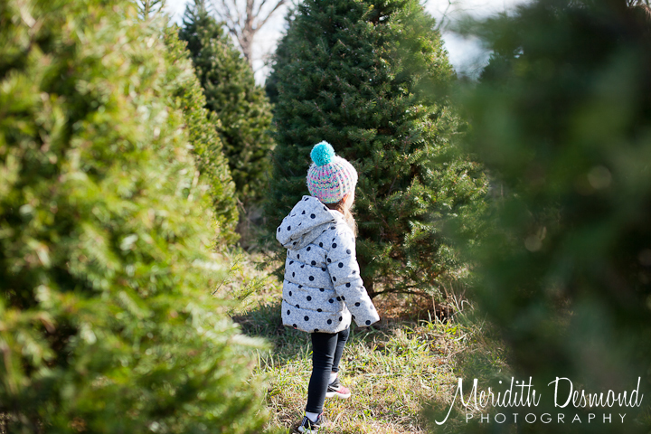 Christmas Tree Hunt 11-25-17--09 w logo