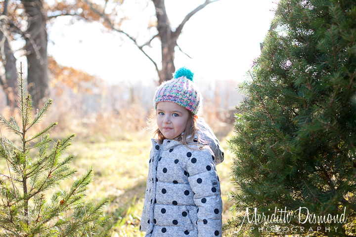 Christmas Tree Hunt 11-25-17--12 w logo