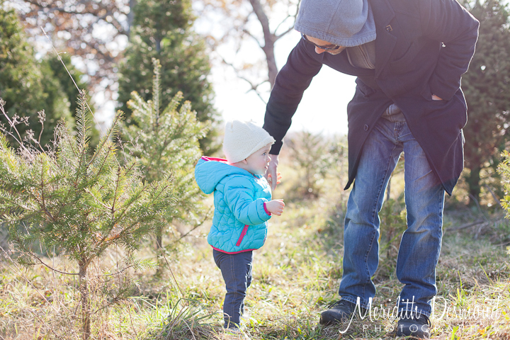 Christmas Tree Hunt 11-25-17--18 w logo