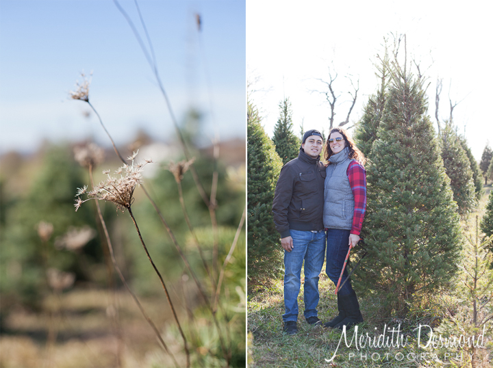 Christmas Tree Hunt 11-25-17--22 w logo