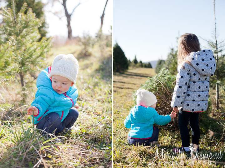 Christmas Tree Hunt 11-25-17--38 w logo