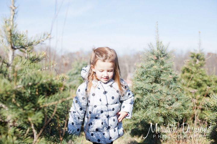 Christmas Tree Hunt 11-25-17--41 w logo