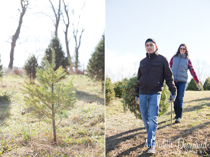 Christmas Tree Hunt 11-25-17--43 w logo