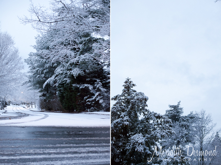 Christmas 12-25-17--13 w logo