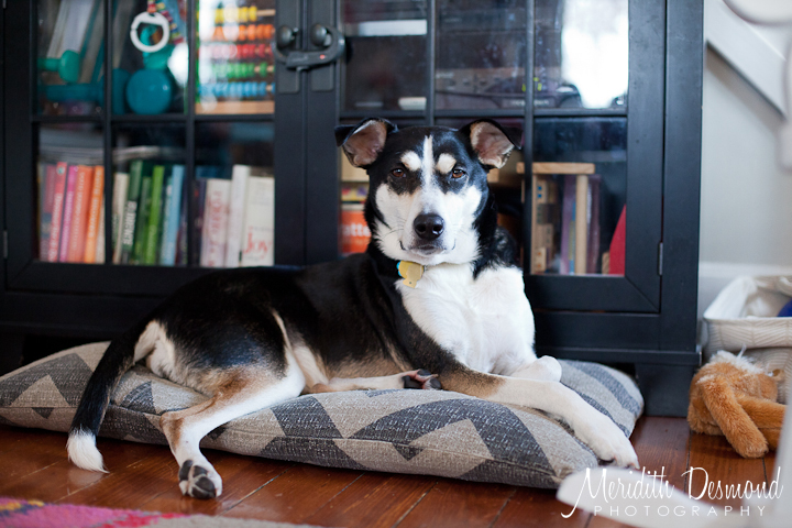 Christmas 12-25-17--61 w logo