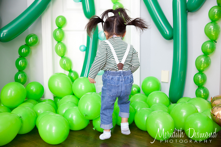 Midland Park Childrens Birthday Photographer-07 w logo