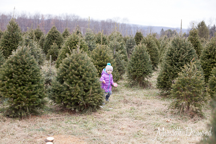 Tree Hunt 11-24-18--10 w logo