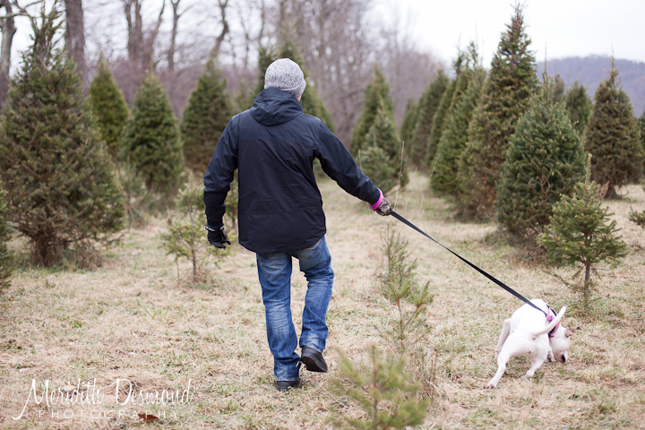 Tree Hunt 11-24-18--15 w logo