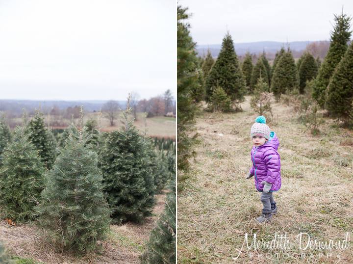 Tree Hunt 11-24-18--22 w logo