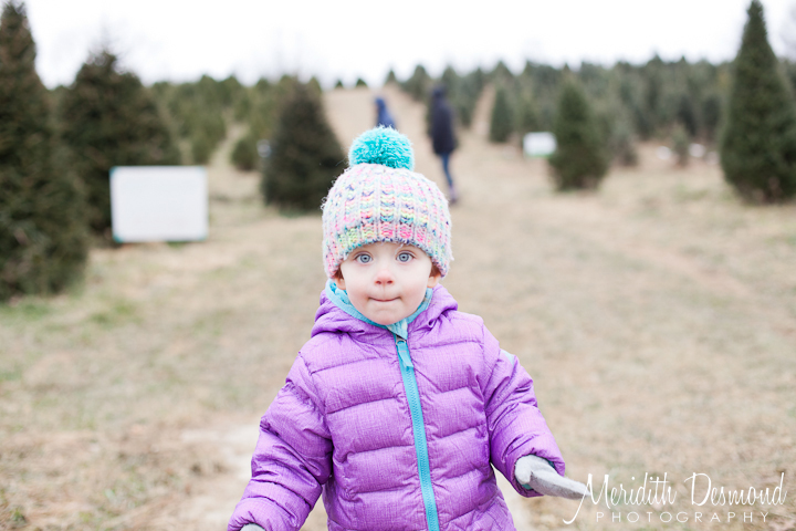 Tree Hunt 11-24-18--32 w Logo