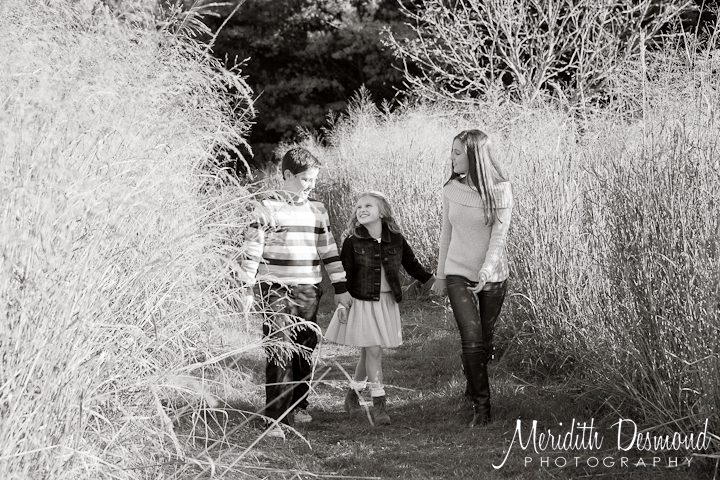 A Celery Farm Portrait – Allendale Family Photographer