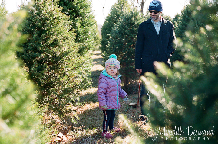 Christmas Tree Expedition – 2016